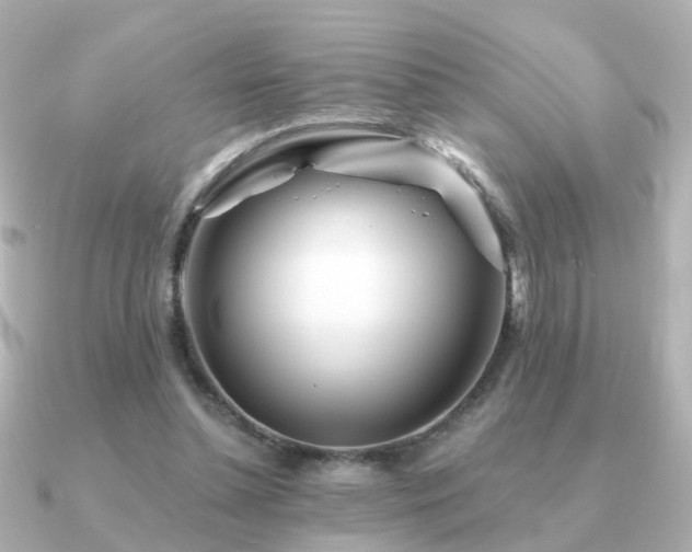 X0000091230348200708091421