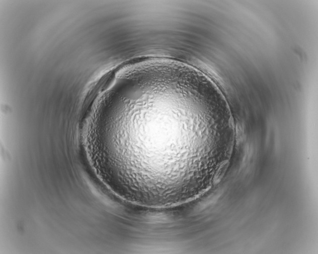 X0000091230349200708091421
