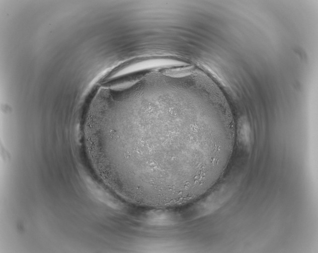 X0000091230351200708091421
