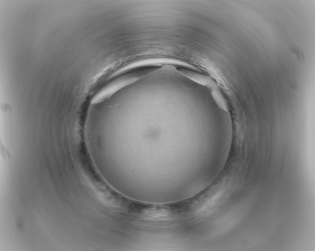 X0000091230354200708091422