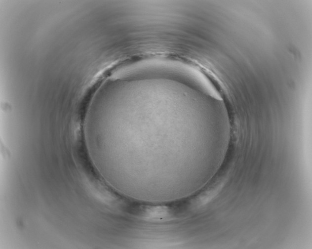 X0000091230355200708091422