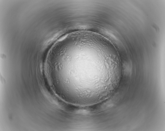 X0000091230358200708091422