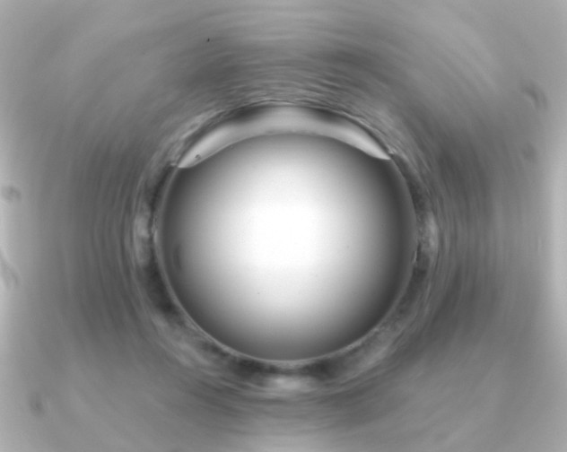 X0000091230360200708091422