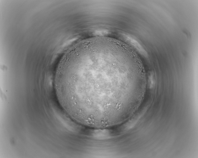 X0000091230363200708091422