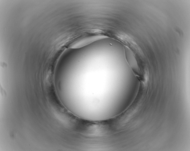 X0000091230364200708091422
