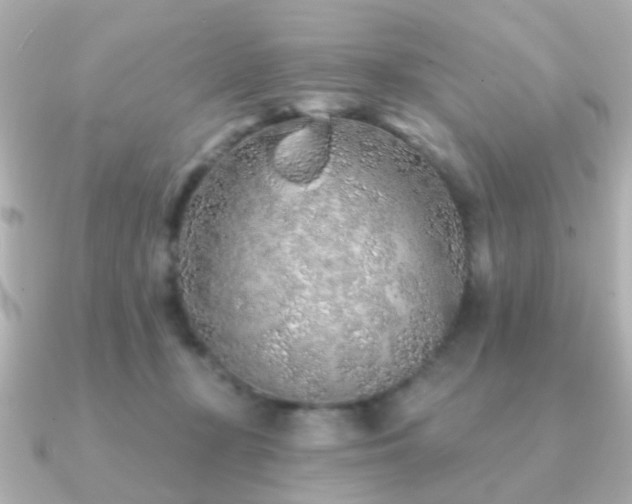 X0000091230367200708091422