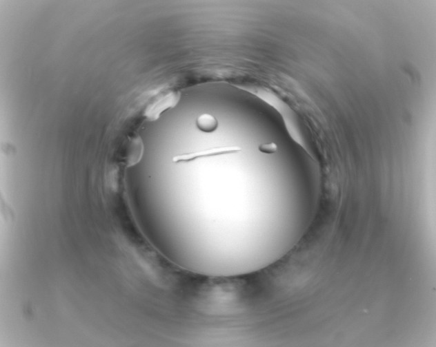 X0000091230368200708091422