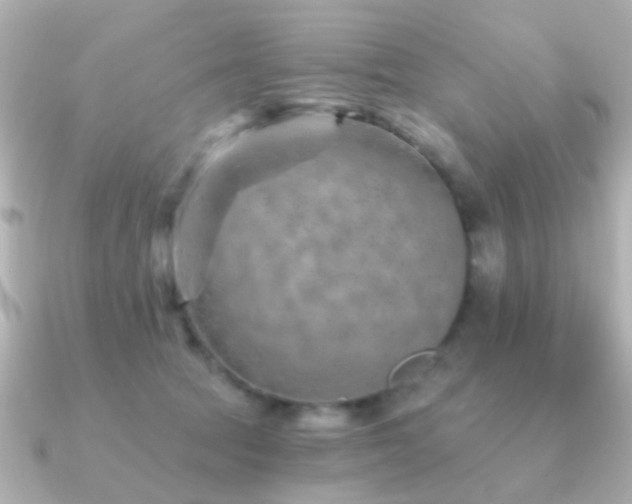 X0000091230369200708091422