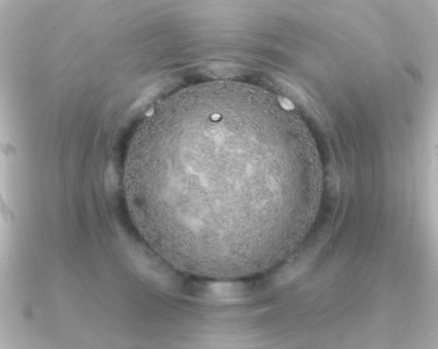 X0000091230371200708091422