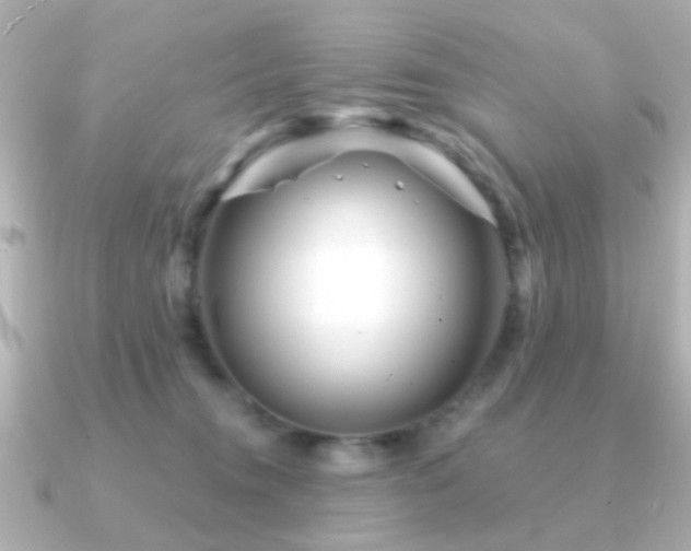 X0000091230372200708091422