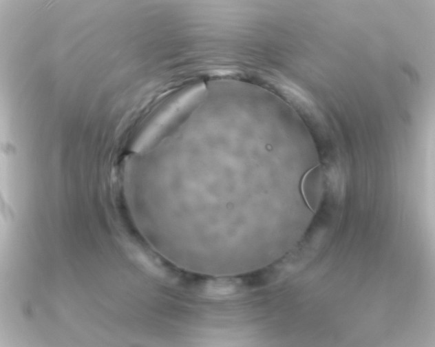 X0000091230373200708091422