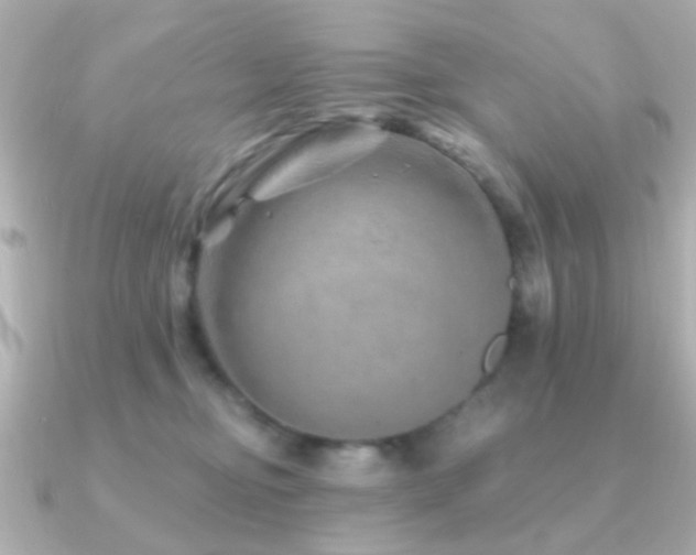 X0000091230374200708091422