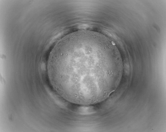 X0000091230375200708091422