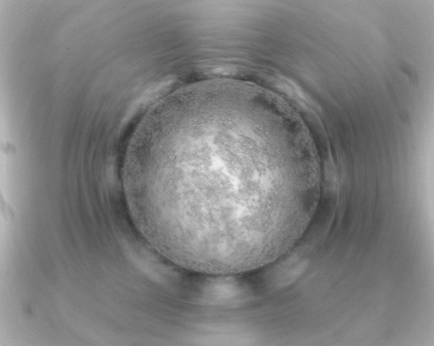 X0000091230377200708091422