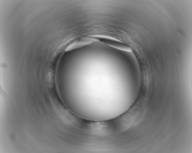 X0000091230378200708091422