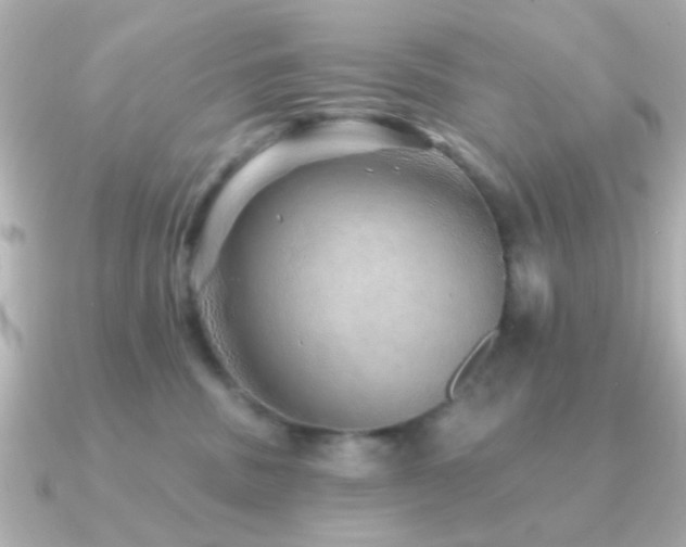 X0000091230379200708091422