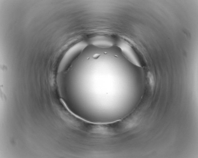 X0000091230380200708091422