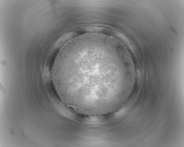 X0000091230381200708091422