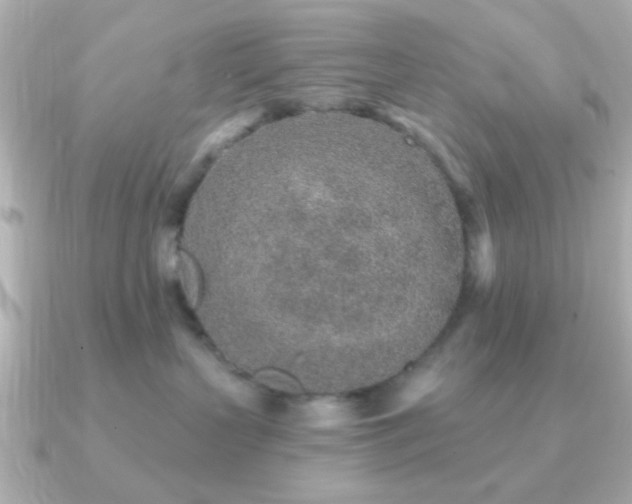 X0000091230383200708091422