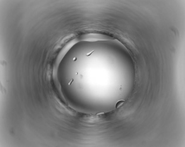 X0000091230384200708091422