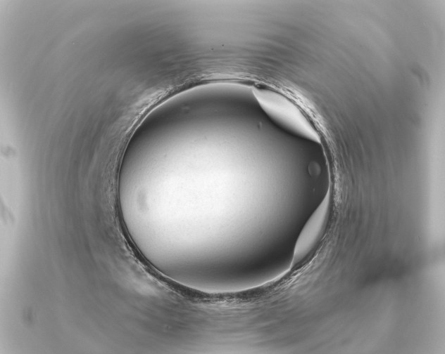 X0000091230385200708091421