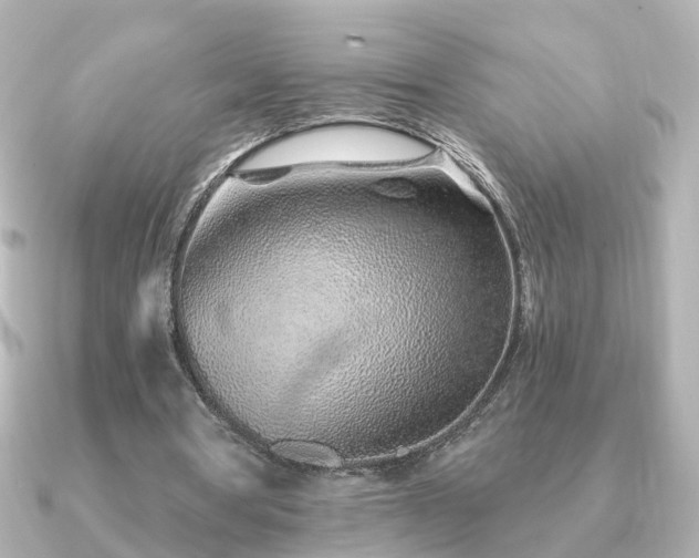 X0000091230386200708091421