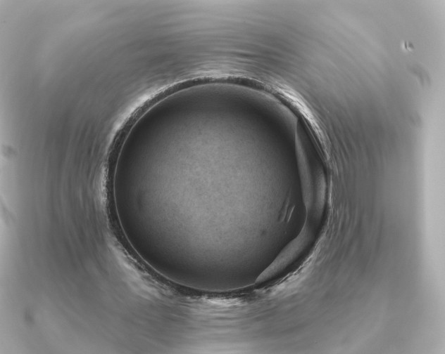 X0000091230387200708091421