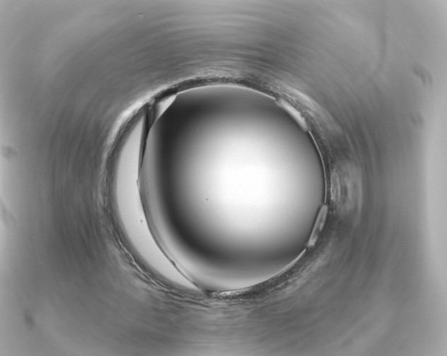 X0000091230388200708091421
