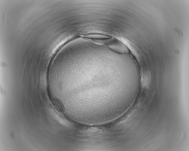 X0000091230390200708091421