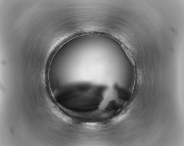 X0000091230391200708091421