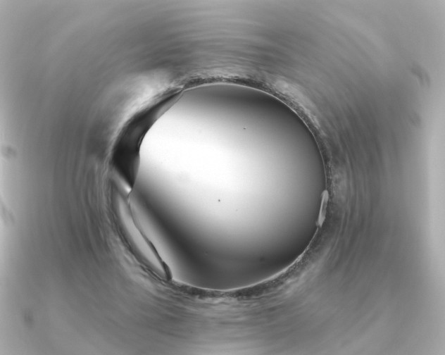 X0000091230395200708091421