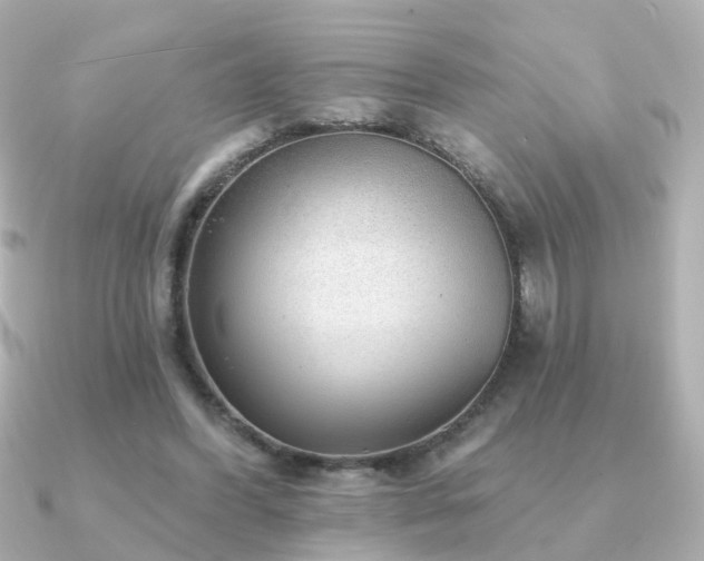 X0000091230396200708091421