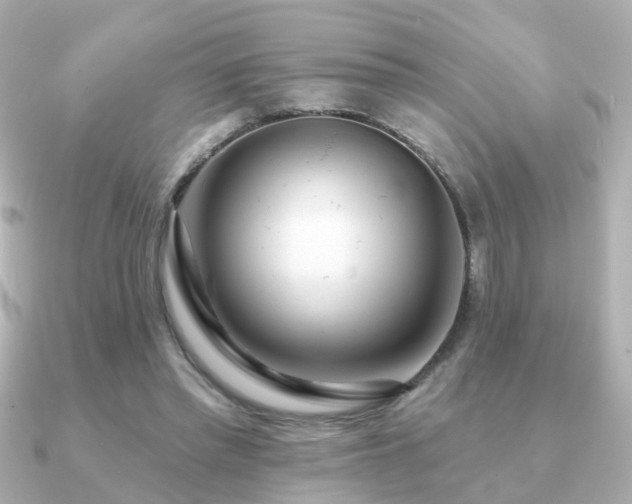 X0000091230397200708091421