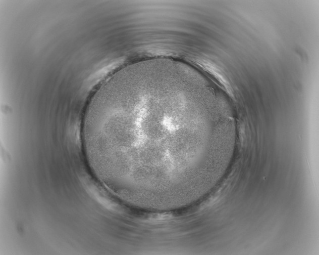 X0000091230398200708091421