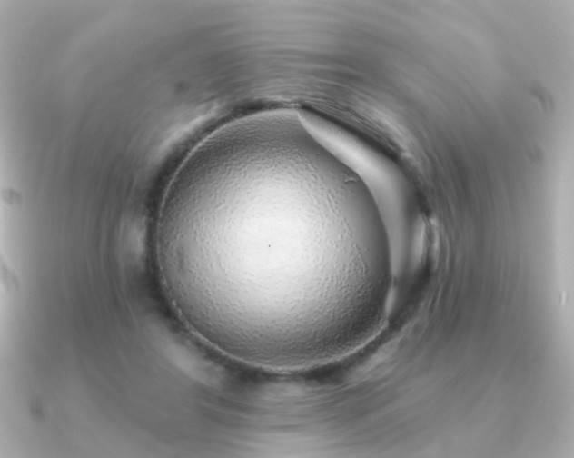 X0000091230404200708091421