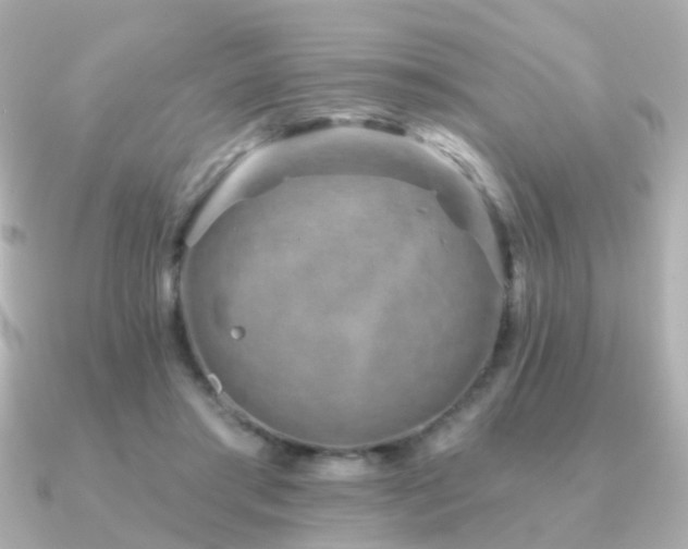 X0000091230405200708091421