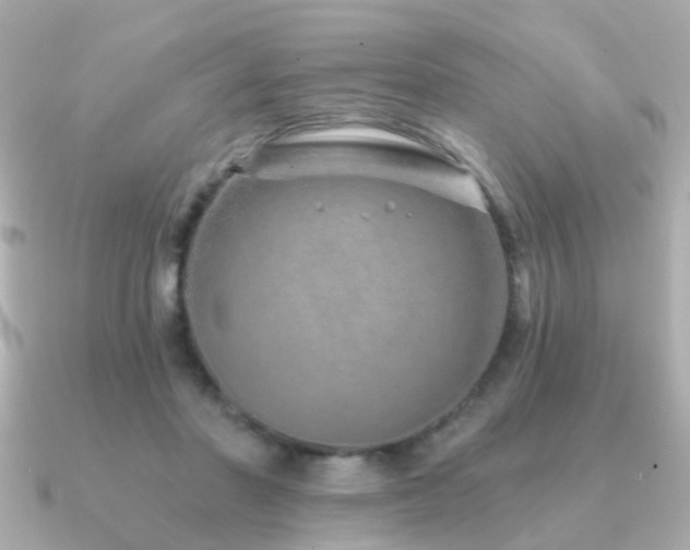 X0000091230406200708091421
