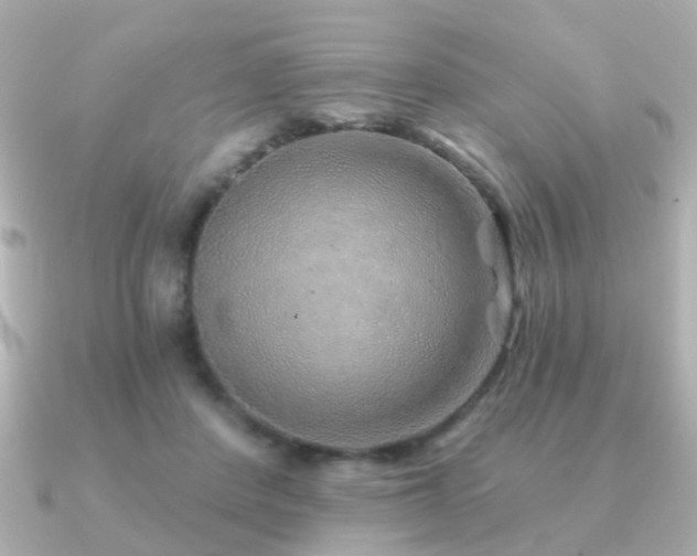 X0000091230408200708091421
