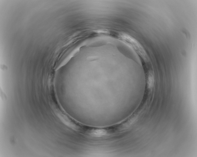 X0000091230409200708091421