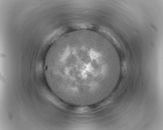 X0000091230410200708091421