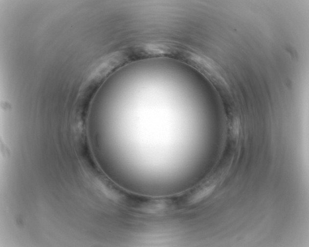 X0000091230418200708091421