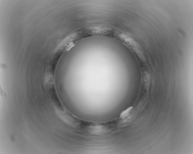 X0000091230419200708091421