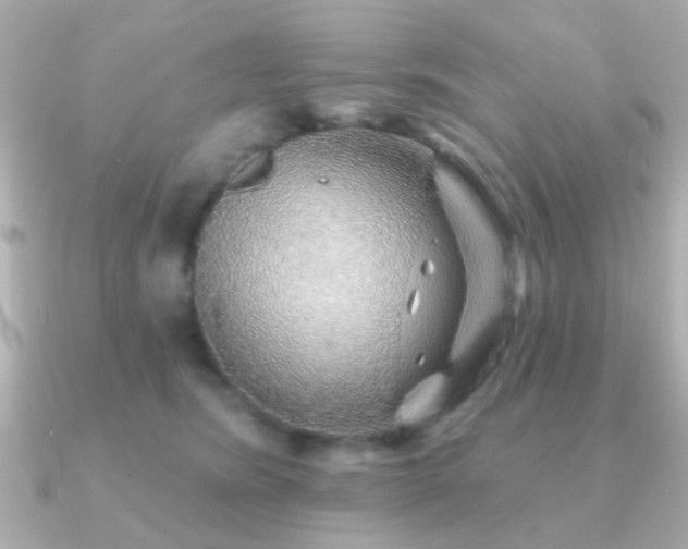 X0000091230420200708091421