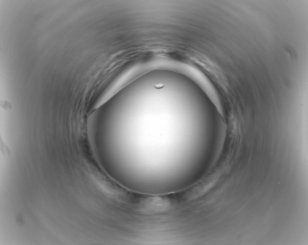 X0000091230421200708091421