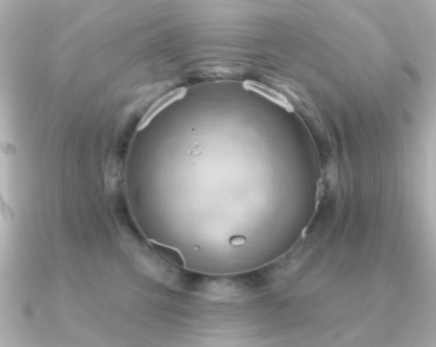 X0000091230423200708091421