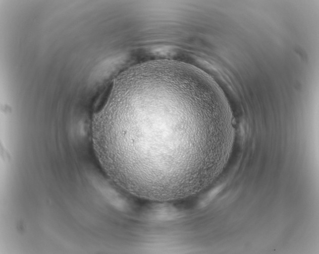 X0000091230424200708091421