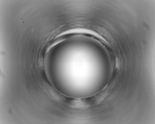 X0000091230425200708091421