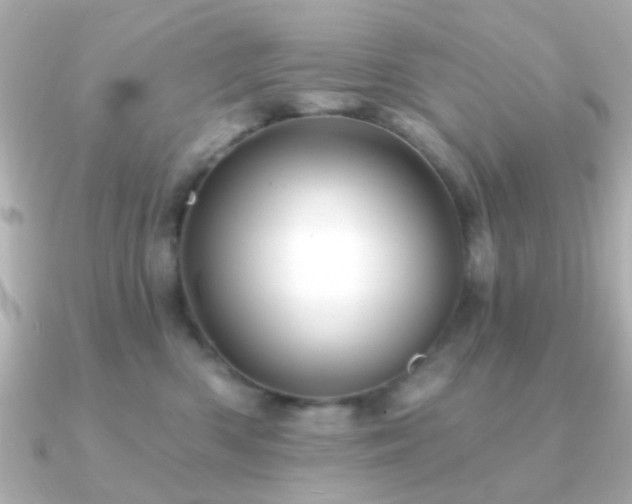 X0000091230426200708091421