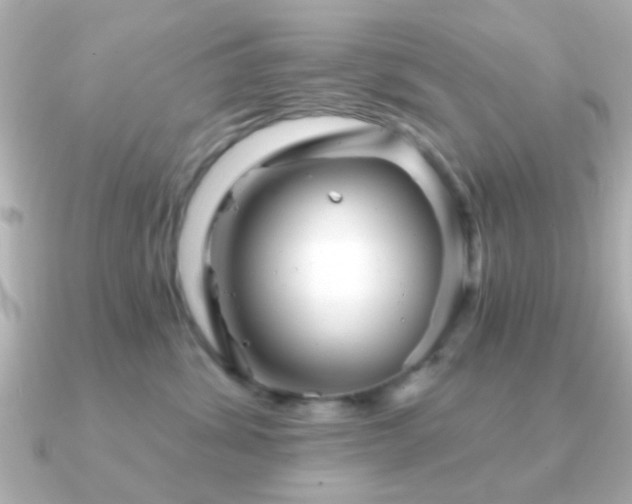 X0000091230428200708091421