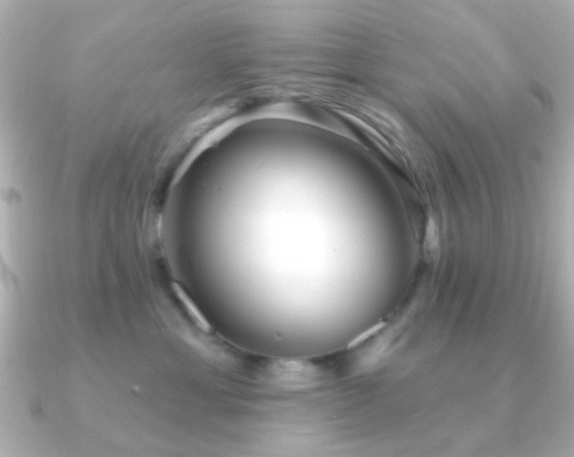 X0000091230429200708091421